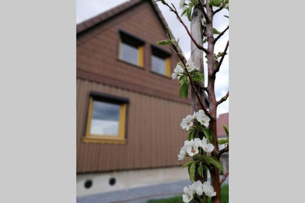 エルビンガーオーデ Harzhaus Idaヴィラ エクステリア 写真